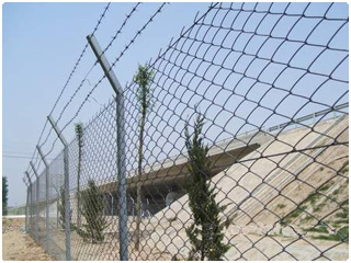 勾花護(hù)欄網(wǎng)