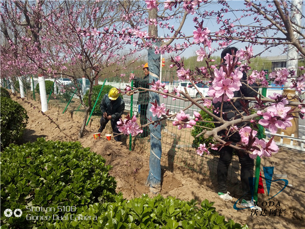 綠色鐵絲網(wǎng)價(jià)格