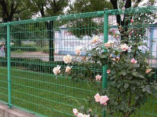 景區(qū)圍欄網(wǎng)