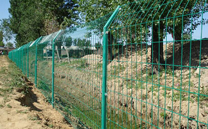 圈地護(hù)欄網(wǎng)